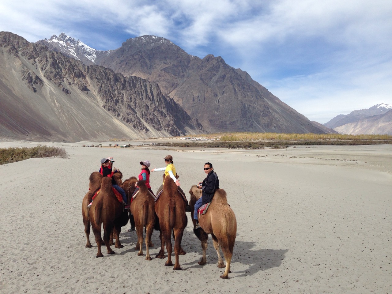 Apricot Blossom Festival